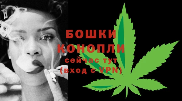 PSILOCYBIN Саяногорск