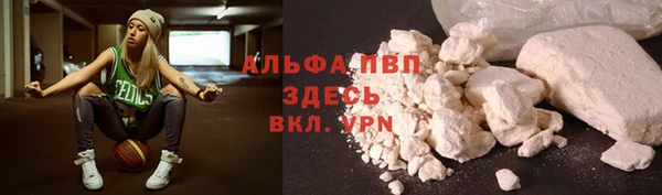 PSILOCYBIN Саяногорск