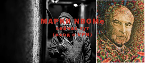 PSILOCYBIN Саяногорск